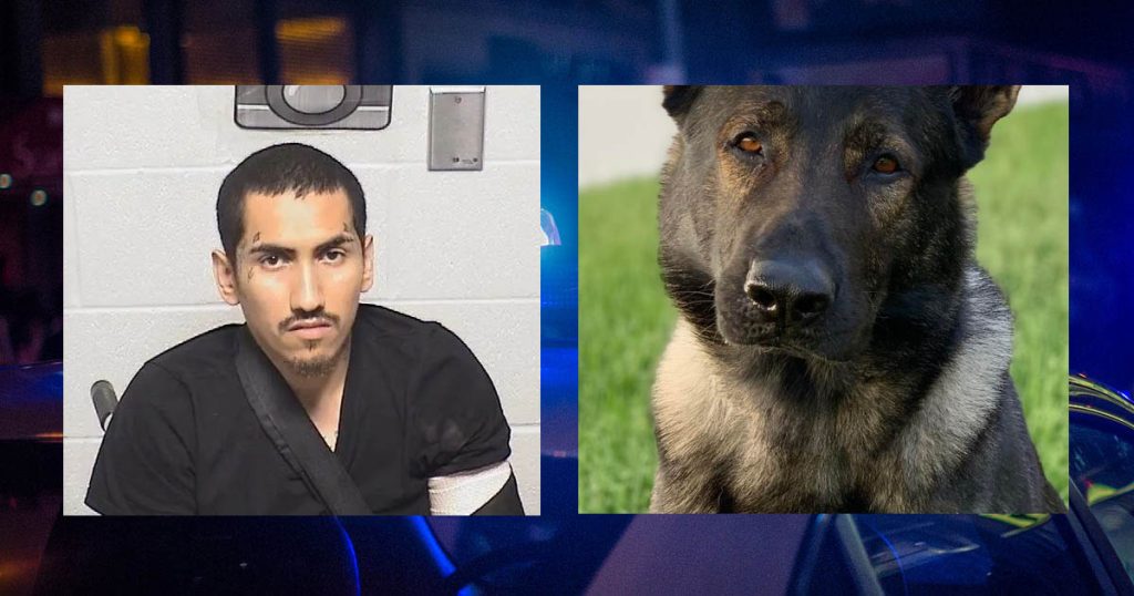 Updated: Canine Dax Takes Down Armed Felon - Lake County News Dispatch